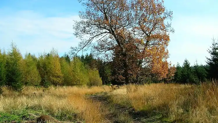 Holiday home in Bévercé