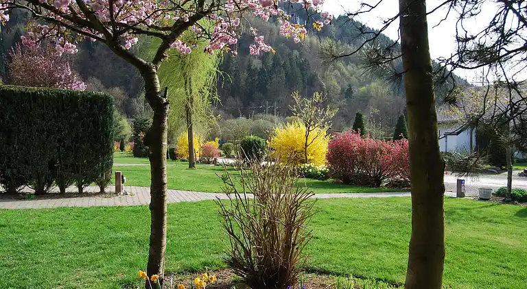 Sommerhus i Malmedy