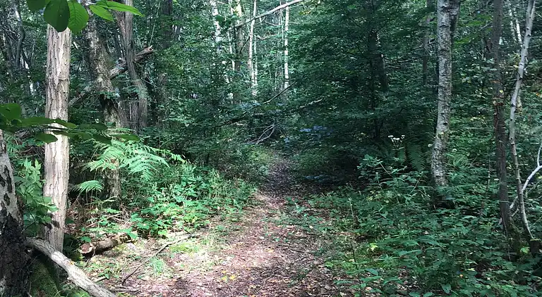 Holiday home in Stavelot