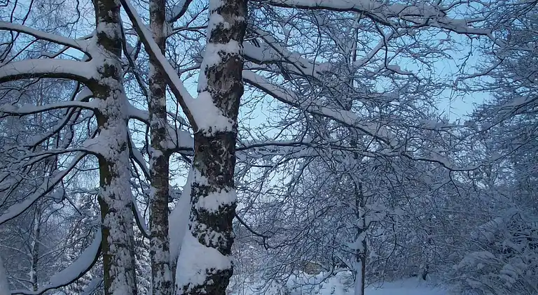 Cottage in Francorchamps