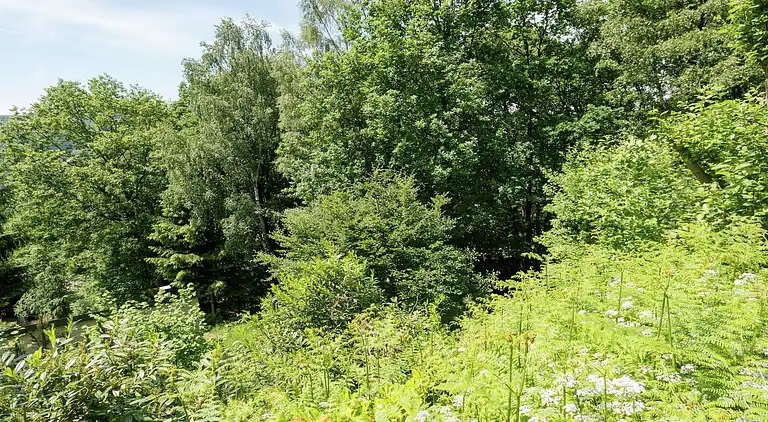 Holiday home in Stavelot