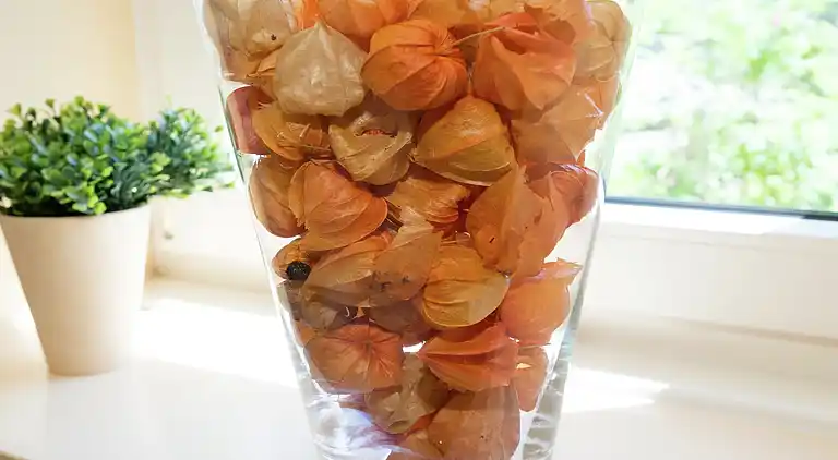 Holiday home in Stavelot