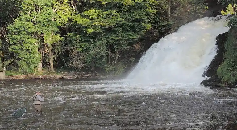 Feriebolig i Stavelot
