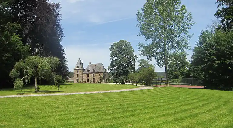 Castle in Basse-Bodeux