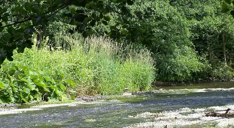 Cottage in La Gleize