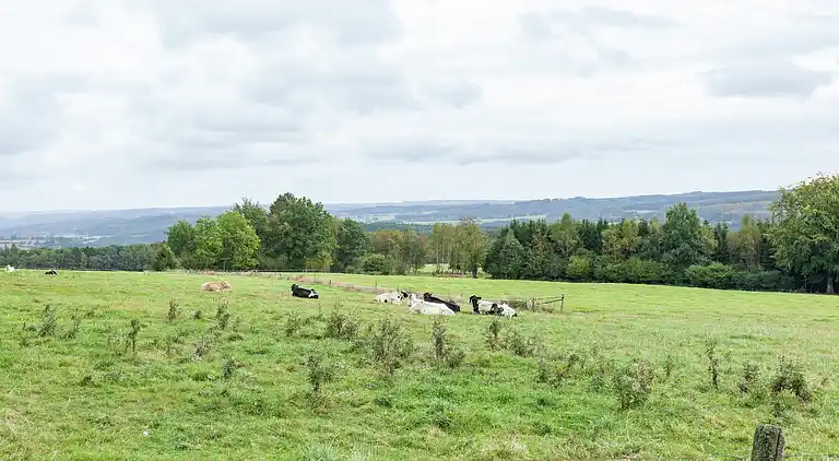 Hytte i Basse-Bodeux