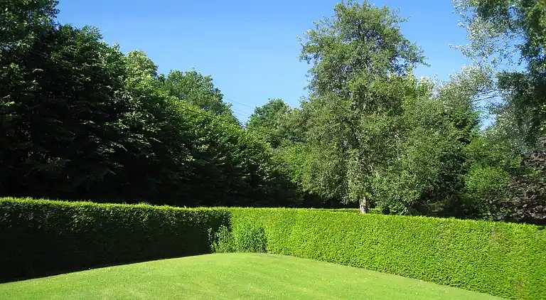 Farm house in Basse-Bodeux