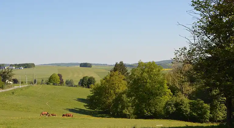 Farm house in Basse-Bodeux