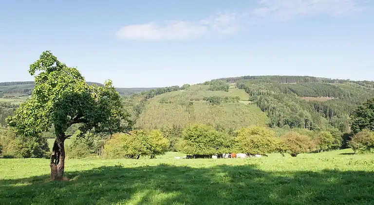 Sommerhus i La Gleize