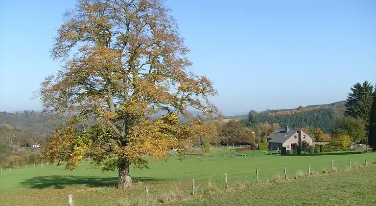 Holiday home in Stoumont