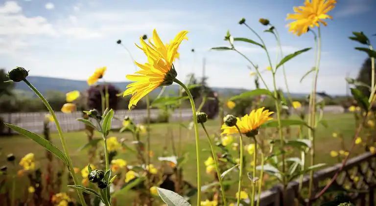 Apartment in Stoumont