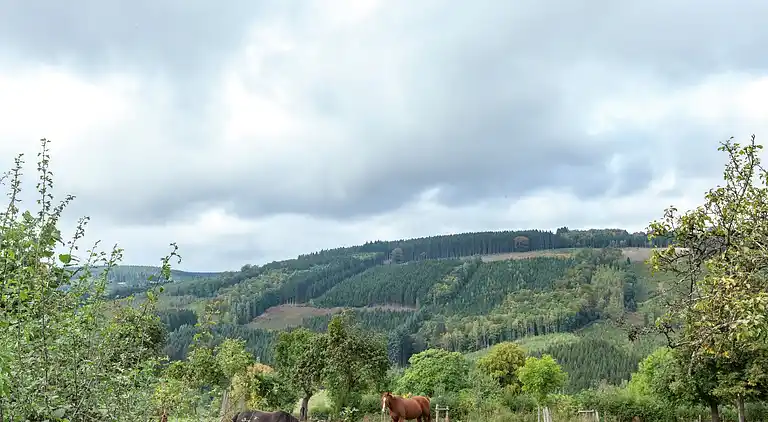 Cottage in La Gleize