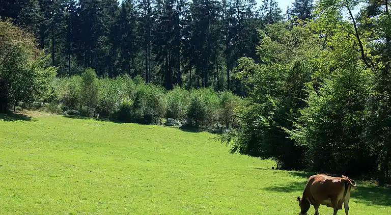 Sommerhus i Stoumont