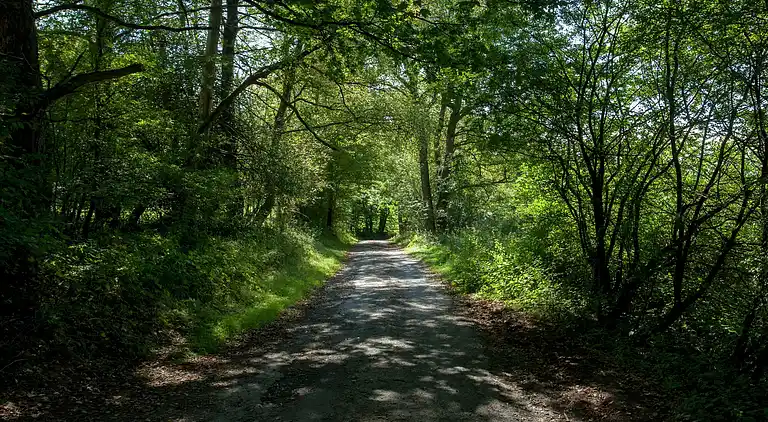 Sommerhus i Stoumont