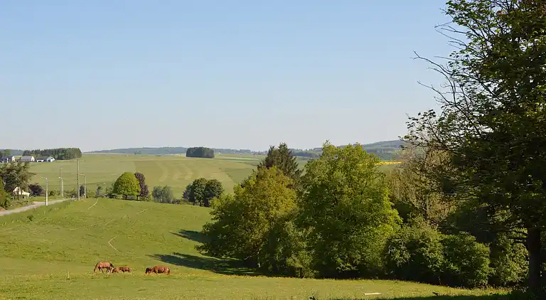 Sommerhus i Stoumont
