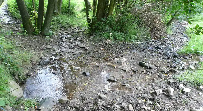 Sommerhus i Lierneux