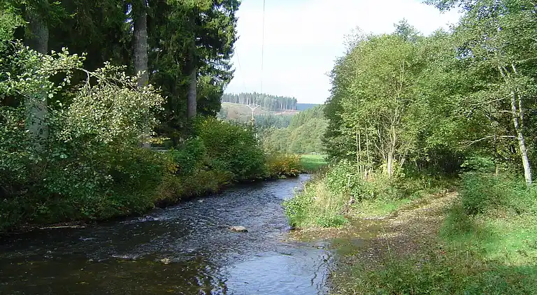 Sommerhus i Lierneux