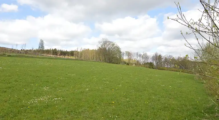 Sommerhus i Lierneux