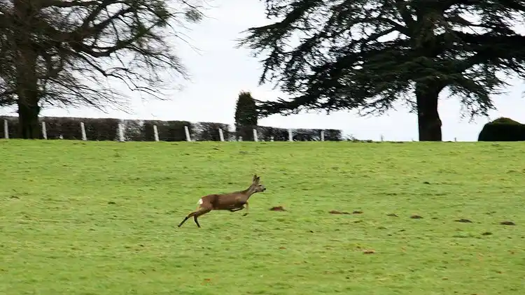 Holiday home in Gembloux