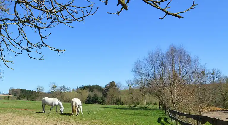 Hytte i Barvaux-Condroz