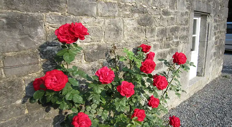 Stuga i Barvaux-Condroz