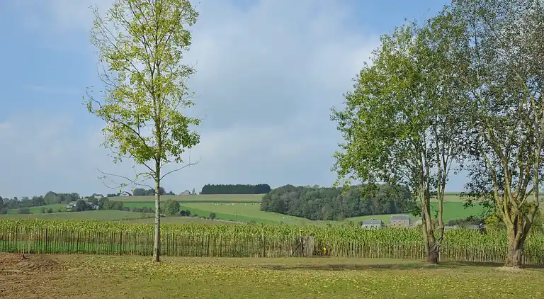 Feriebolig i Somme-Leuze