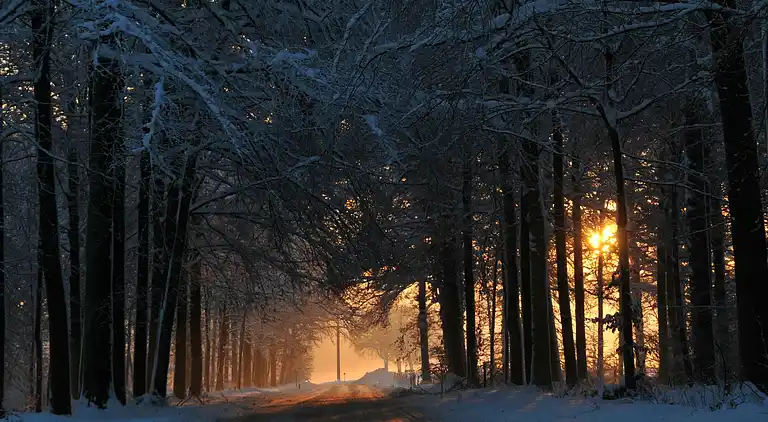 Holiday home in Somme-Leuze