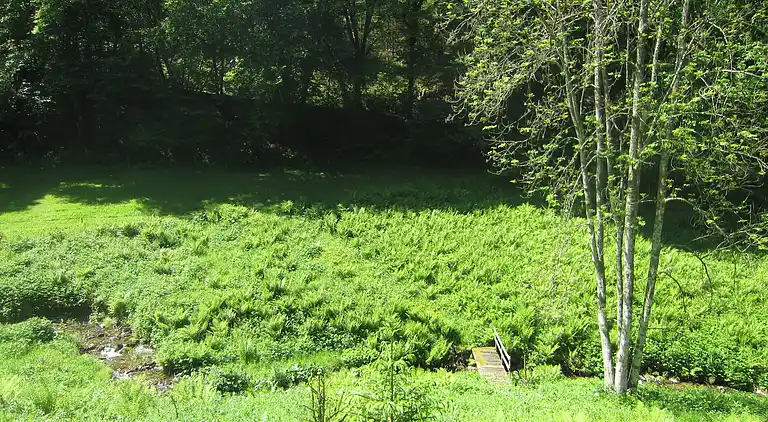 Cottage in Vresse-sur-Semois
