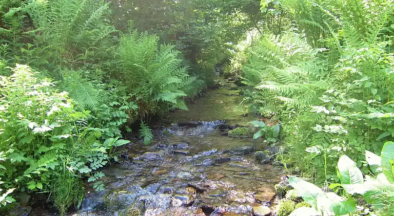 Cottage in Vresse-sur-Semois