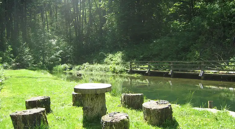 Cottage in Vresse-sur-Semois