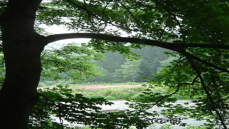 Holiday home in Monceau-en-Ardenne