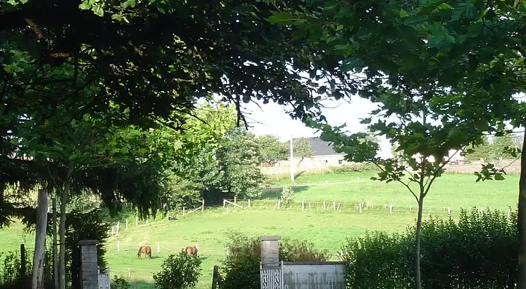 Holiday home in Monceau-en-Ardenne