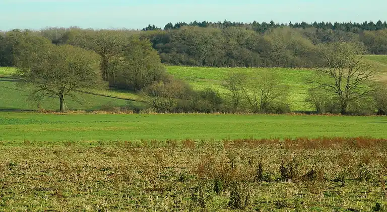 Holiday home in Honnay