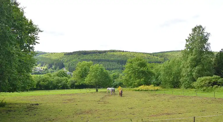 Sommerhus i Vencimont