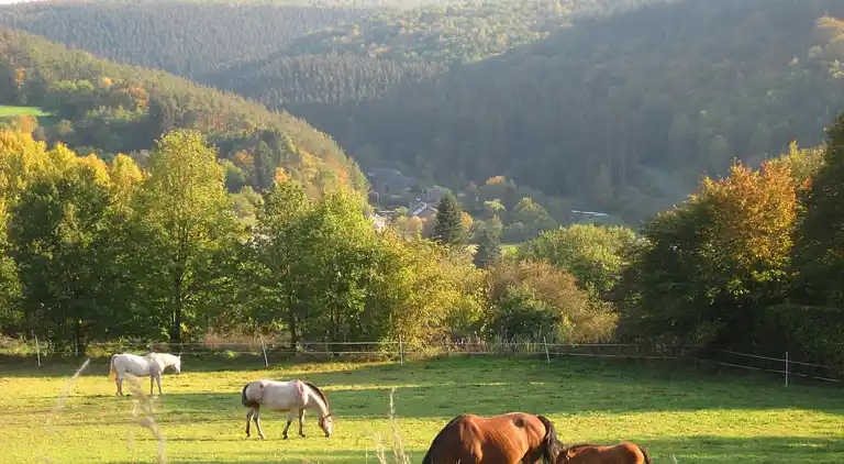Sommerhus i Vencimont