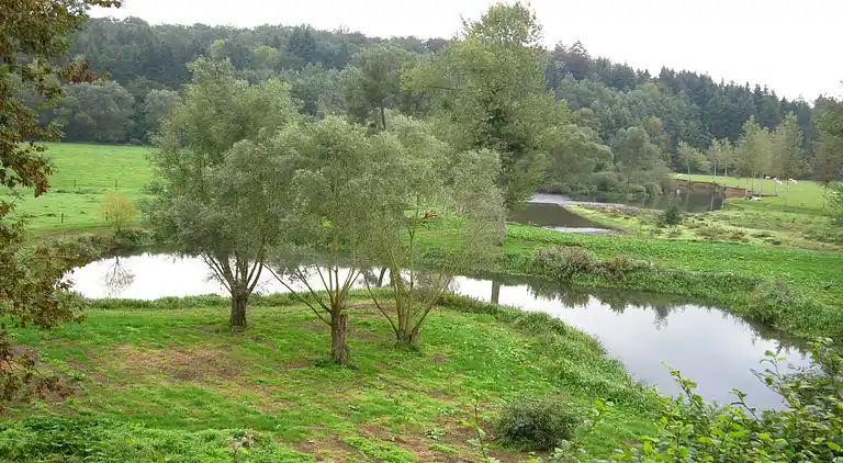 Sommerhus i Rochefort