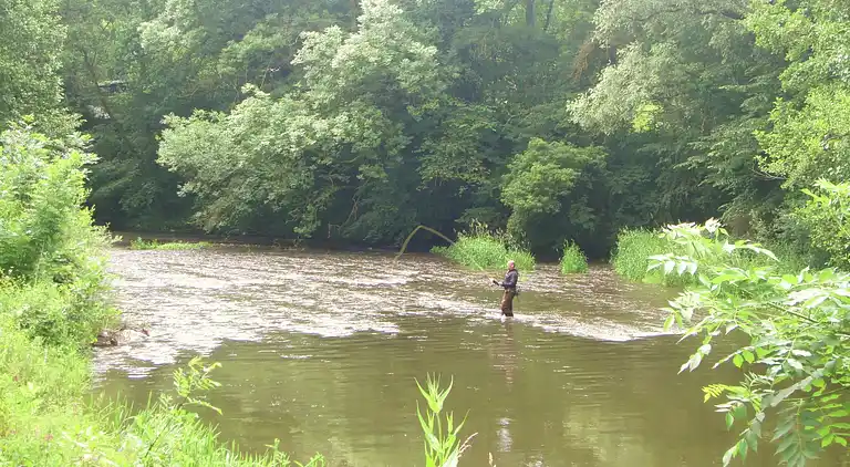 Holiday home in Treignes