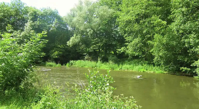 Sommerhus i Treignes