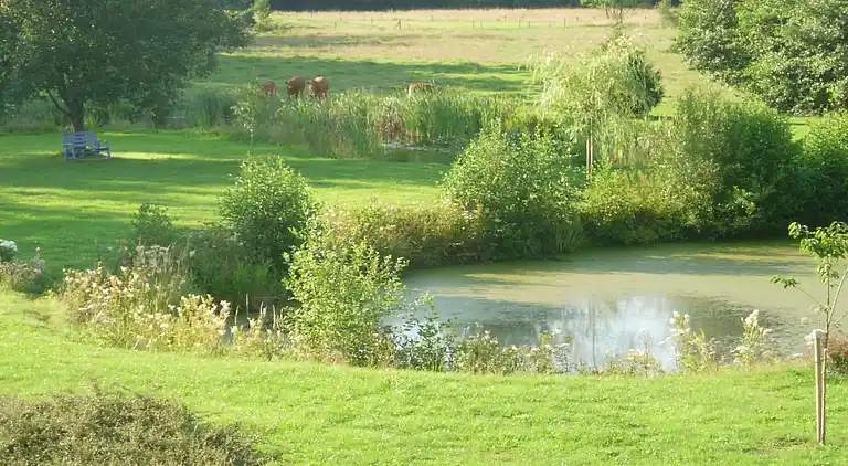 Feriebolig i Sivry-Rance