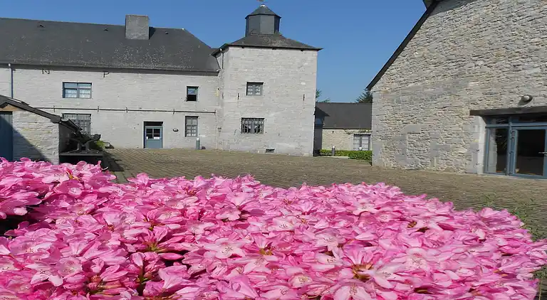 Sommerhus i Momignies