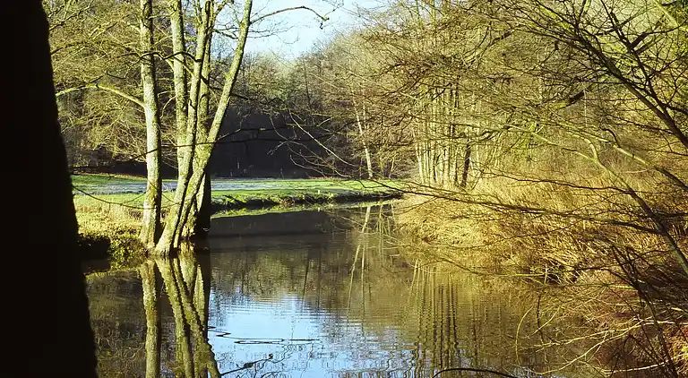 Herregård i Momignies