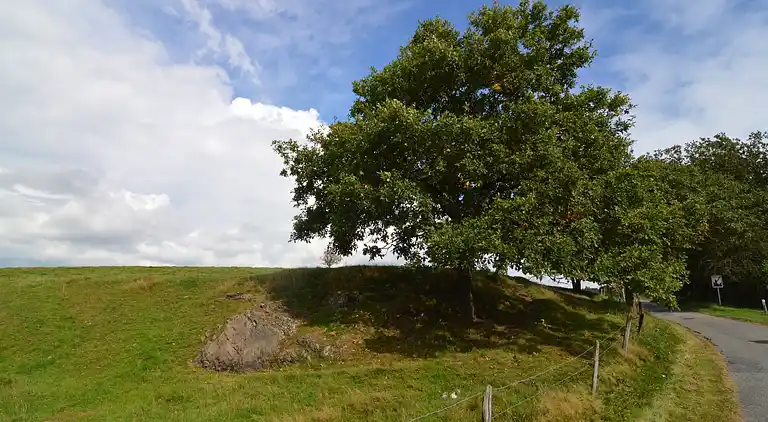 Hytte i Noville