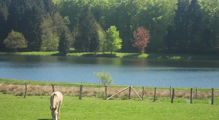 Holiday home in Longvilly