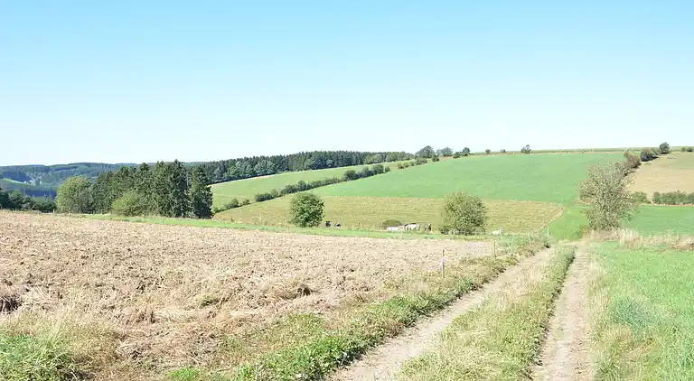 Holiday home in Martelange