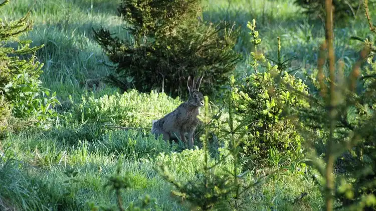 Holiday home in Fauvillers