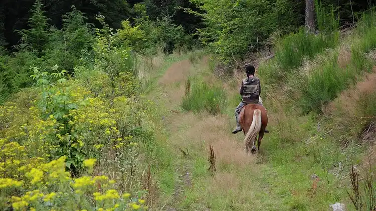 Holiday home in Fauvillers