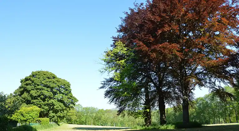 Semesterbostad i Fauvillers