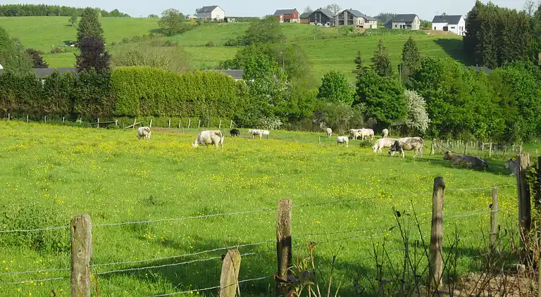 Sommerhus i Houffalize