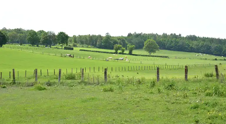 Farm house in Europe