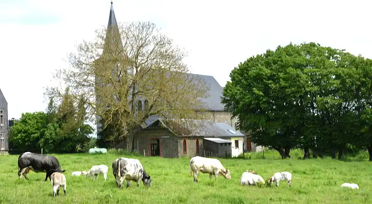 Farm house in Europe